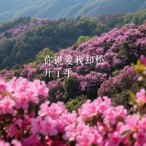 你说爱我却松开了手