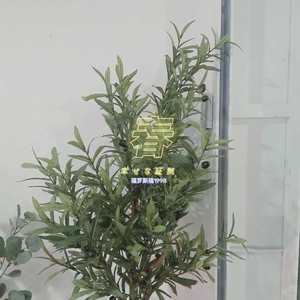 站在冬天望春天