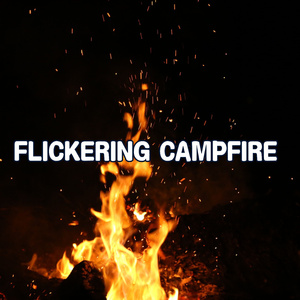 Spark Therapy: Bonfire Group Therapy Session for Emotional Release Sleep