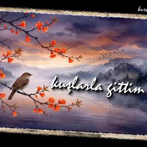 Kuşlarla Gittim - Mehmet Şamil