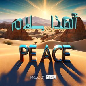 IS THIS PEACE? (feat. Maryam Shehbab) (REMIX Version)