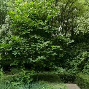 相约二十年后再相会