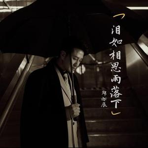 泪如相思雨落下（DJ版）