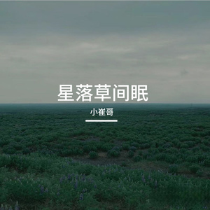 星落草间眠