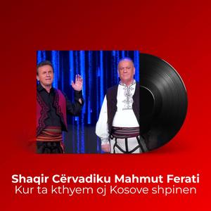 Kur ta kthym oj Kosove shpinen