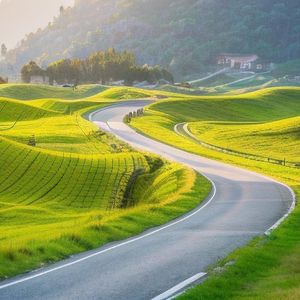 梦里出现的人,醒来时就该去见他