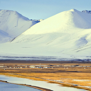 陪你一起看草原