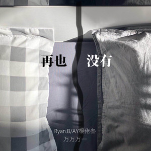 再也没有（翻自 Ryan.B/AY楊佬叁）