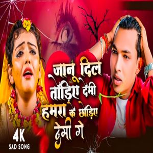 Jaanu Dil Todiye Demhi Hamra Ke Chhodiye Demhi Ge