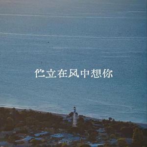 伫立在风中想你