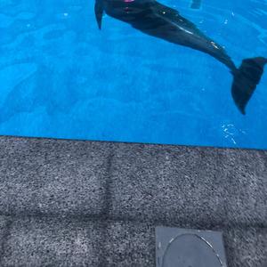 Do you know the muffin man