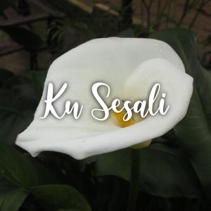 Ku Sesali