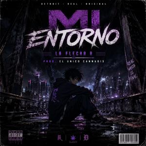 Mi Entorno