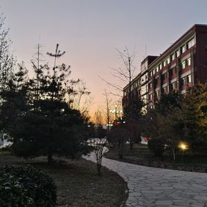 2025.1.10 / 明日已至