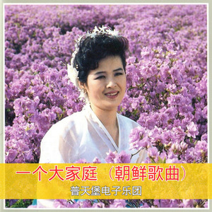 一个大家庭（朝鲜歌曲）