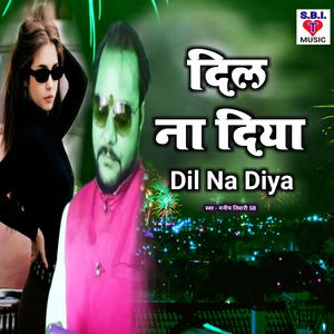 DIL Na Diya
