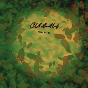 冷枯叶 Cold withered leaf