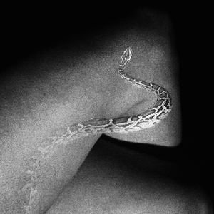 Snakeskin