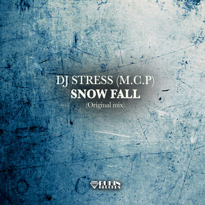Snow Fall (Original Mix)