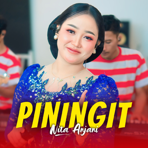 Piningit