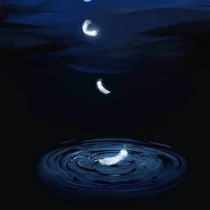 我在南京的夜里