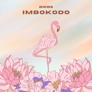 Imbokodo