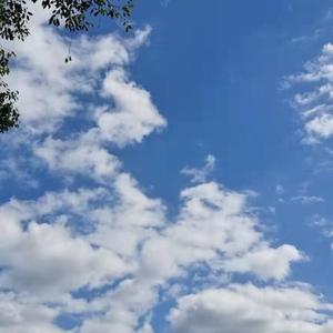 人生需要掌声_缩混