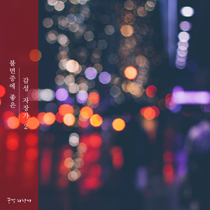 별빛이 반짝이는 밤