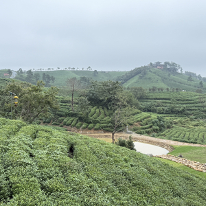 月是水中月 人是心上人