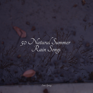 Bonfire in the Forest