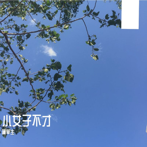 小女不才