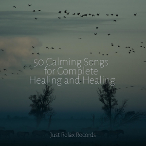 Mellifluous Waterfall Symphony