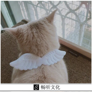 暗影岛语录(抖音版)