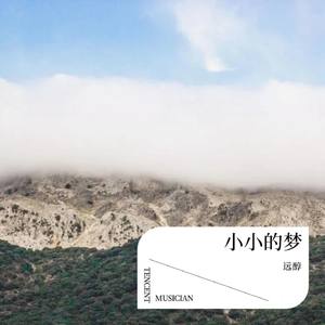 小小的梦