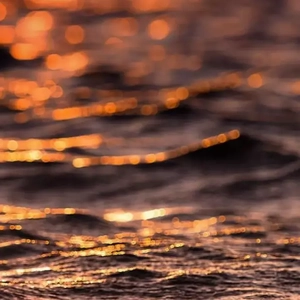 พูดจริง(说真的)