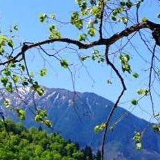 像那故事依然 (2)