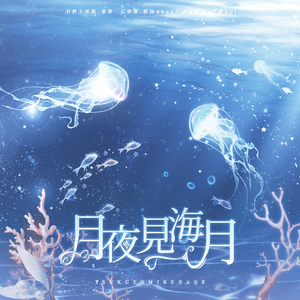 月夜見海月
