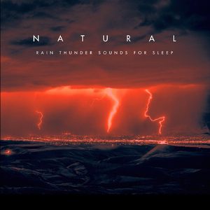 Soothing Rain Thunder Sounds for Sleep