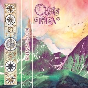 Birds Flock To Flooded Farmland