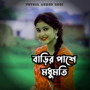 বাড়ির পাশে মধুমতি