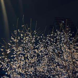 总有一天你会出现在我身边