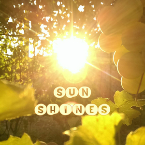 Sun Shines