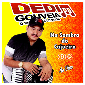 Zé Priquito - Ao Vivo