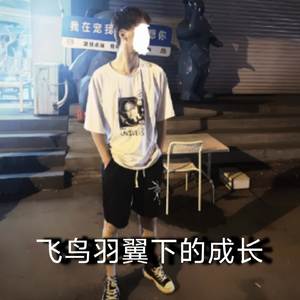 飞鸟羽翼下的成长