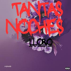 Tantas Noches lloro