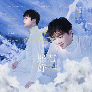 愿君好-高杨生日应援曲