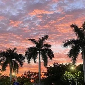 就这样爱上你 钢琴版