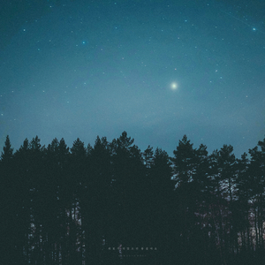 겨울밤의 이야기