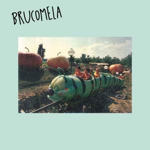 Brucomela