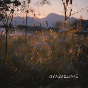 这些年在忙什么